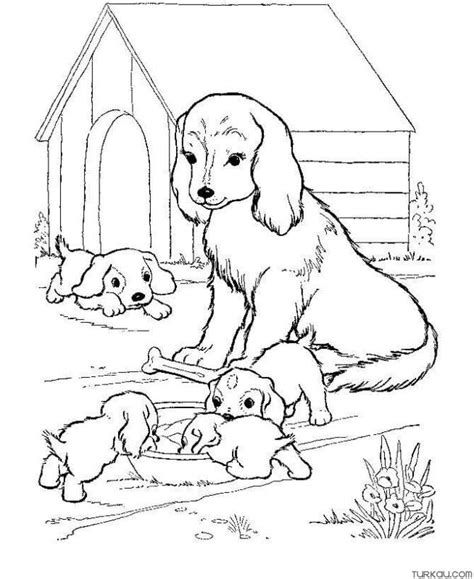 Paw Patrol Coloring Pages Turkau