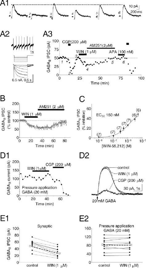 Figure 1 From Independent Presynaptic And Postsynaptic Mechanisms