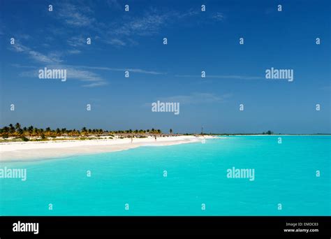 Beautiful Caribbean beach landscape Stock Photo - Alamy