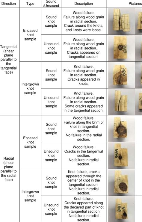 Shear Failure Descriptions | Download Table