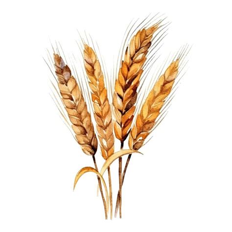 Golden Ear Of Wheat Illustration Vector Premium AI Generated Image