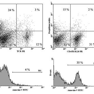 Flow Cytometric Analysis Of Mouse T Cells A B And B Cells C D At