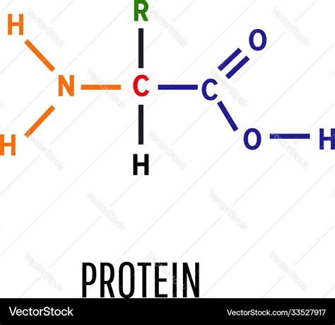 Protein Structural Chemical Formula And Molecular Vector Image