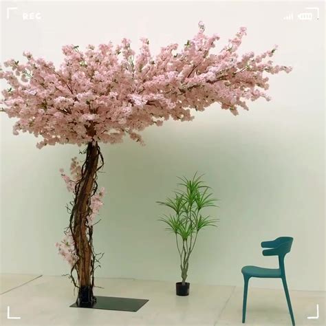 Indoor Cherry Blossom Plants Trees Flower Willow Large Decoration ...