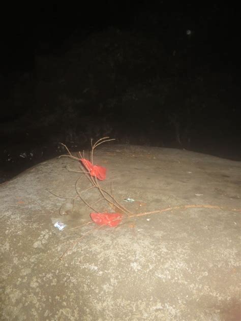 Do these images look similar? The top is a map of Missing 411 cases ... 