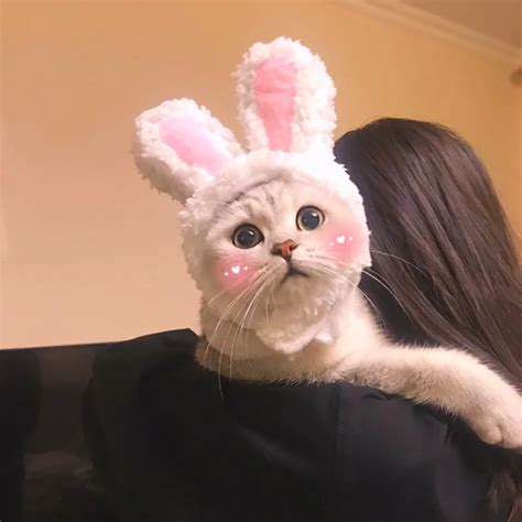 Funny Cats Costumes Cap katten Pets Warm Rabbit Hats Clothes Cosplay Dogs Accessories Headwear ...