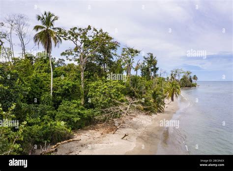 Vista A Rea Del Parque Nacional Cahuita A Lo Largo De La Costa Sur Del