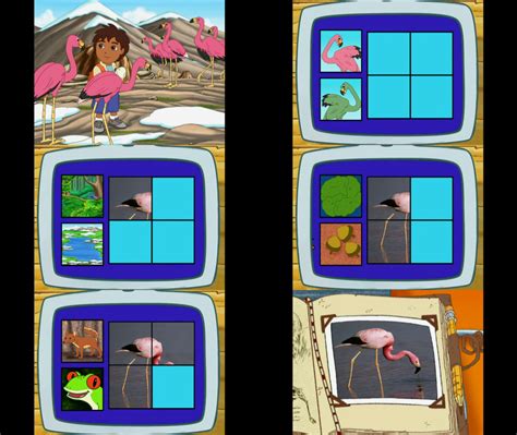 diego  flamingo  mdwyer  deviantart