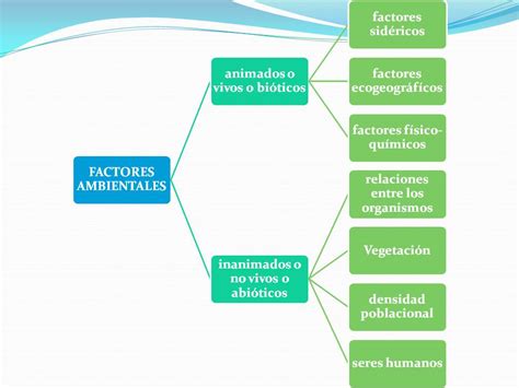 Ema Factores Ambientales