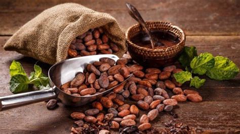 Hoy Se Celebra El Día Del Cacao Y Chocolate Peruano Agap