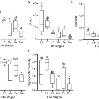 Beta Diversity Analysis Of Gut Microbiota Among Different Life Stages