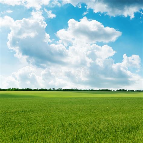 Campo Verde Y Cielo Azul Con Las Nubes Ligeras Sobre El Horizonte Es