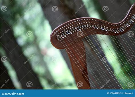 Celtic Harp In Italy Royalty Free Stock Photography Cartoondealer