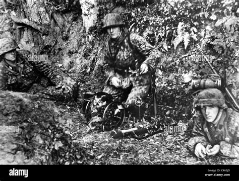 Signal Troops Of The Ss In Normandy Stock Photo Alamy