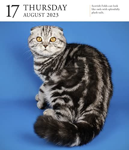 Cat Page A Day Gallery Calendar A Delightful Gallery Of Cats For