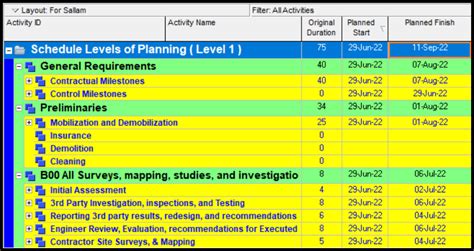 What Are Schedule Levels From Level 1 To 5 Planning Engineer