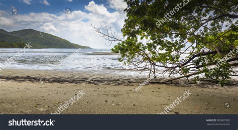 Cape Tribulation Rainforest Meets Great Barrier Stock Photo 385607530 | Shutterstock