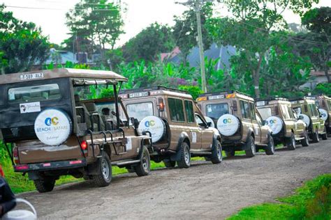 Da Arusha Escursione Di Un Giorno Al Parco Nazionale Del Lago Manyara