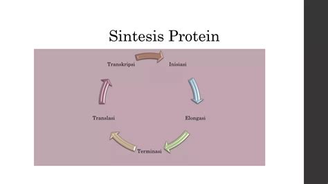 Biologi Sel Kelas Xi Kurikulum 2013 Ppt Ppt