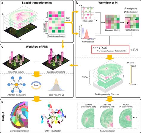 PROST Quantitative Identification Of Spatially Variable Genes And