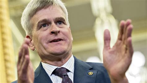 Republican Sen. Bill Cassidy says he thinks an immigration deal will ...