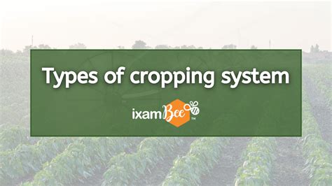 Types of Cropping Systems: Cropping Systems in India-Mono Cropping ...