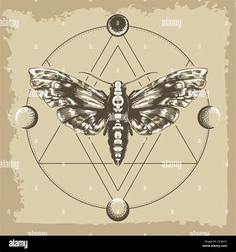 Moth Dead Head And Circle Of A Phase Of The Moon Sacred Geometry Or