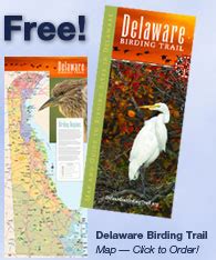 Delaware Birding Trail - Birds, Birders, Birding, Natural Habitats ...