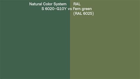 Natural Color System S 6020 G10Y Vs RAL Fern Green RAL 6025 Side By