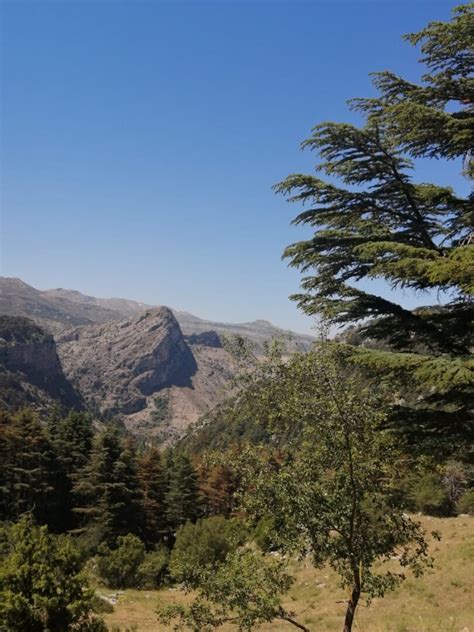 Hadath El Jebbeh To Hardine Hiking Trail Lebanon Tourism Guide