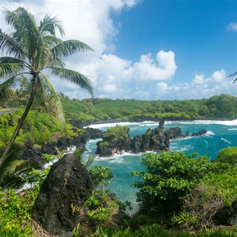 Where to Find a Black Sand Beach in Hawaii | Hawaii Aloha Travel