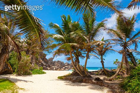 Grand Anse One Of The Most Beautiful Beach Of Seychelles La Digue