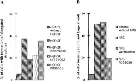 Effects Of Inhibitors Of The Pi Kinase Wortmannin And Ly And