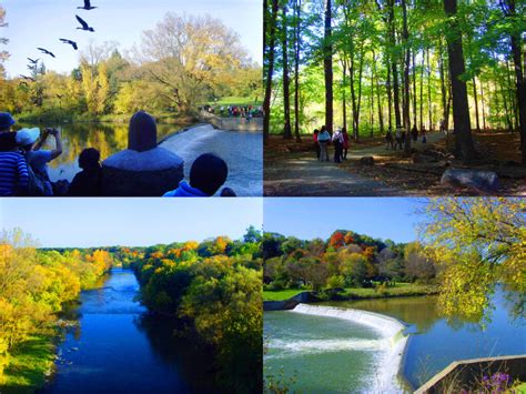 Urban Walk: Etienne Brule Park & Salmon Run - Bruce Trail Conservancy ...