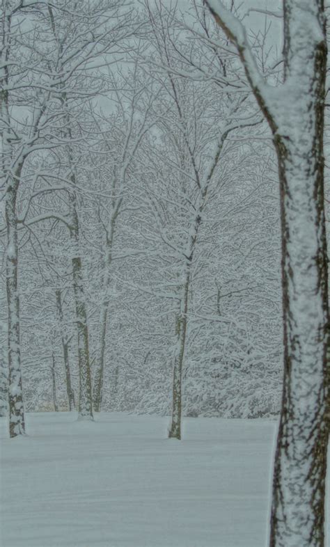 1000+ images about INDIANA SNOW.................. on Pinterest