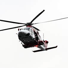 Krockar med kor som har sex på vägen