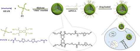 The Scheme For Synthesis Of PH Sensitive Nanogels Via Thiol Ene Click