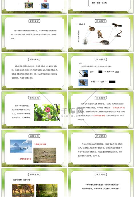 教科版五年级科学上册第一单元《生物与环境 食物链和食物网》ppt课件ppt模板免费下载 Ppt模板 千库网