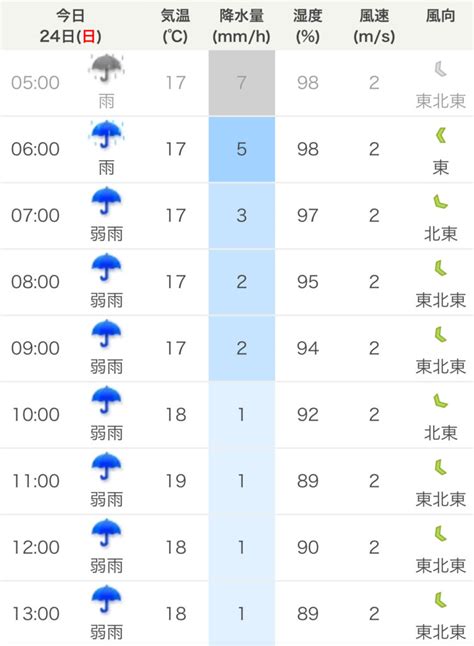 サブスリー達成 雨のさが桜マラソン2024｜シシガブログ