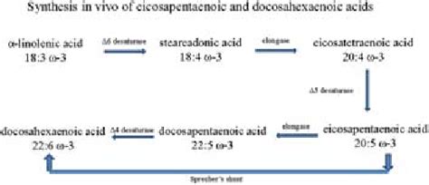 1 Synthesis in vivo of eicosapentaenoic and docosahexaenoic acids. | Download Scientific Diagram