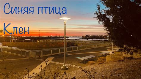 Синяя птица - Клен (караоке тракиста) - YouTube