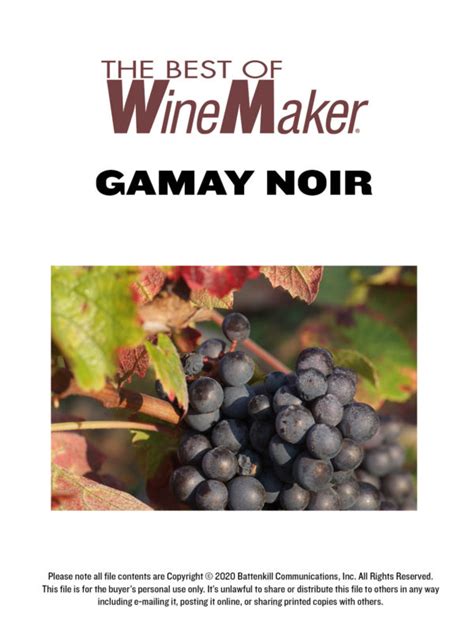 Gamay Noir — Varietal Focus Digital Download