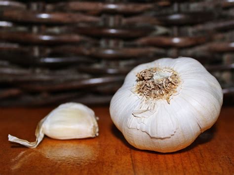 gambar menanam dekorasi makanan bawang putih menghasilkan sayur
