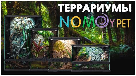 Террариумы NomoyPet. Плюсы и минусы - YouTube