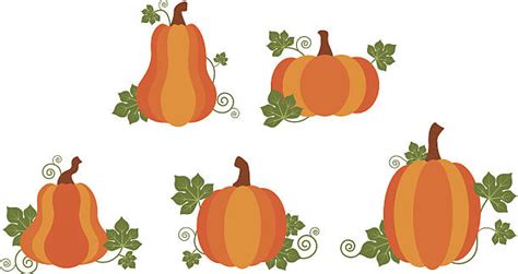 Pumpkin Patch Clip Art Vector Images And Illustrations Istock