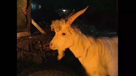 Anal Tales Episode Amateur Amateur Porn Feat Karma Rosenberg Xhamster