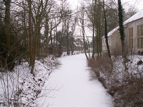 PICT14189 Schloßgraben der Norderburg in Dornum im Winter fuchs377