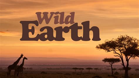 WildEarth - Watch WildEarth Free Online - Plex