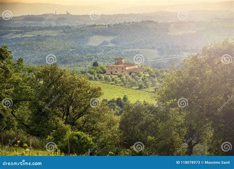 Chianti Vineyards In Tuscany Italyvineyards In Chianti With The Siena