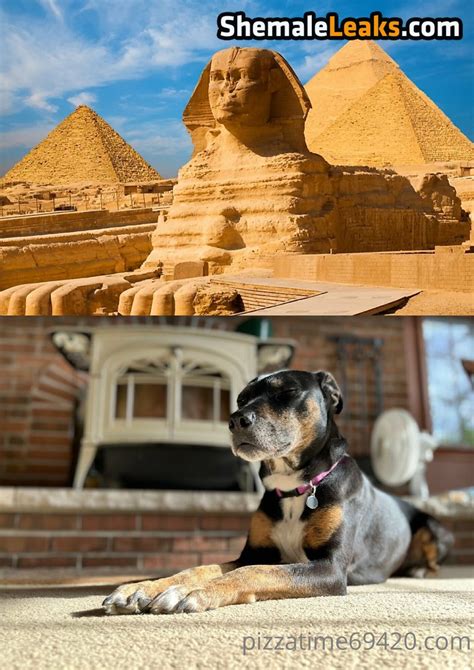 Gutchan Gutfuzz Leaked Nude OnlyFans Photo ShemaleLeaks